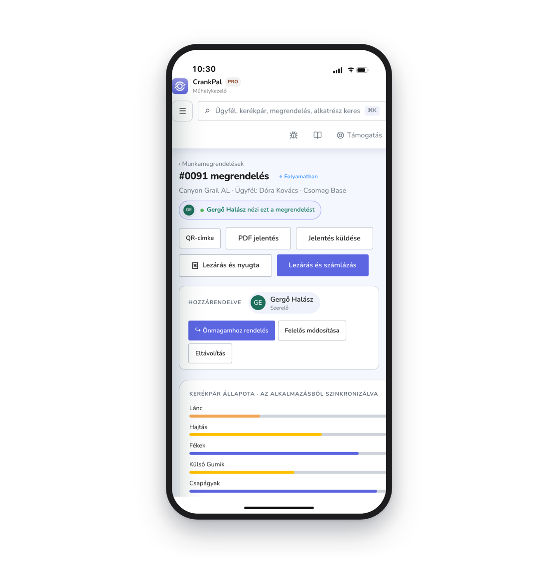 Il gestionale CrankPal aperto su iPhone: l'ordine di lavoro con lo stato, il meccanico assegnato, i pulsanti per chiudere con scontrino o fattura e le barre di salute della bici sincronizzate dall'app.