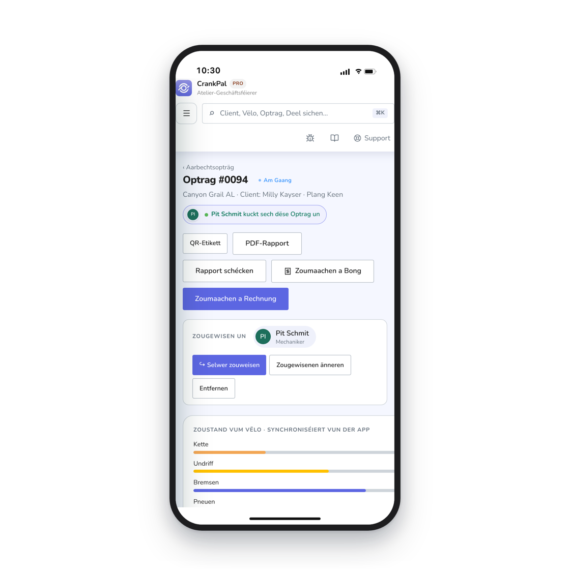 Il gestionale CrankPal aperto su iPhone: l'ordine di lavoro con lo stato, il meccanico assegnato, i pulsanti per chiudere con scontrino o fattura e le barre di salute della bici sincronizzate dall'app.